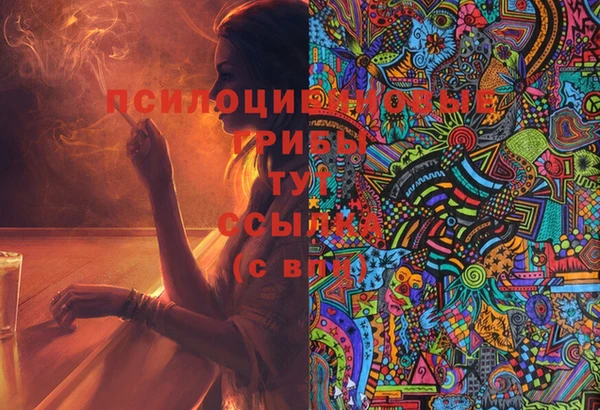 прущая мука Надым