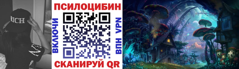 Псилоцибиновые грибы Cubensis  Купить где  Барнаул 